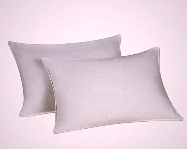 Down Dreams Classic Queen Pillow Set of 2 Found in Hilton Hotels